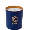 ESPA Winter Spice Standard 200g Candle