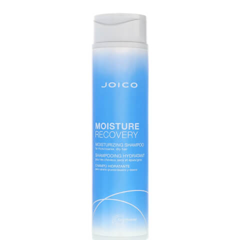 Joico Moisture Recovery Shampoo (300ml)