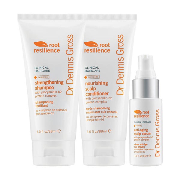 Dr Dennis Gross Root Resilience Hair Protection Kit