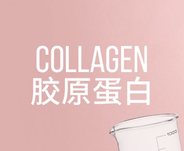 Collagen 胶原蛋白
