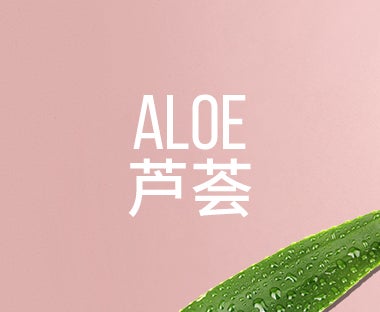 Aloe  芦荟