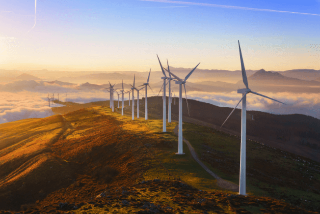 Our Sustainability Commitments